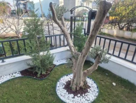 İzmir Seferihisar Payamli Mah.de 2 1 Summer House For Sale Near The Sea